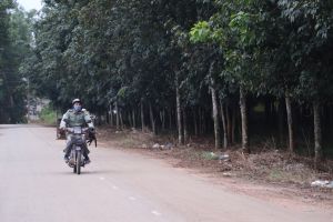 Many Industrial Zones will be established