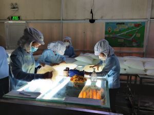 The enterprises are more confident when the vaccination is widely covered