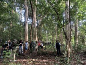 Sustainable forestry development in integration