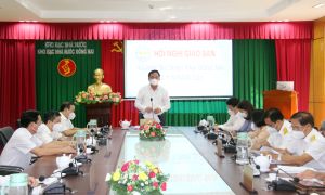 Budget revenue exceeded the estimate