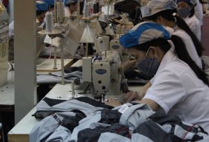 Many businesses, cooperatives and business households will receive support