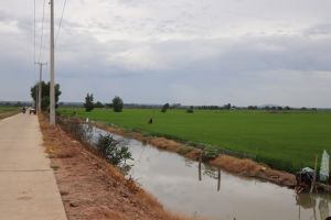 Paying attention to investment in irrigation associated with the new countryside