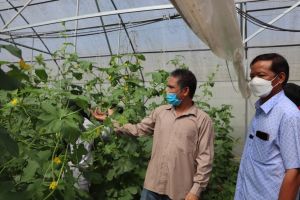 Agriculture in Dong Nai grows higher than the national average