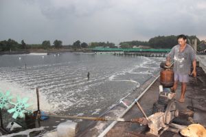 Aquaculture industry still maintains high growth rate