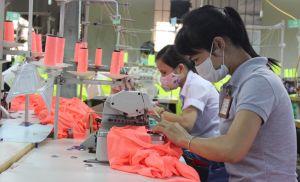 Industries serving as foundation for Dong Nai's economy