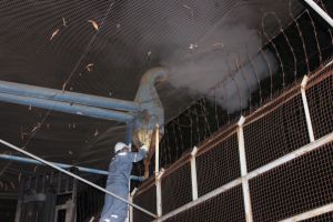 Establishments emitting from 3 thousand tons of CO2 per year must be checked for greenhouse gas