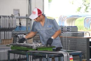 Enterprises capitalizing on opportunities from Free Trade Agreements