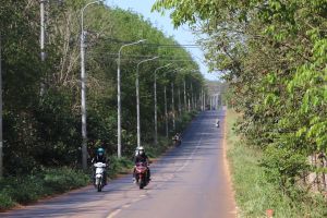 11 land plots in Cam My District will be in auction