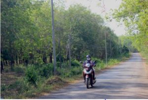 Rapid construction of Resettlement Areas serving the Bien Hoa - Vung Tau Highway project