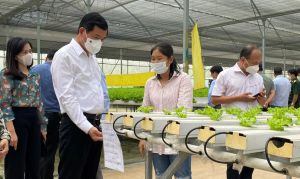 The unique products from the organic farms
