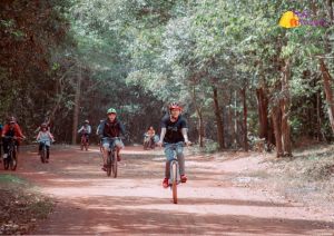 Long-term strategy for forest economic development