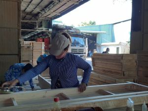 Export turnover of wood and wood products reached US$156 million