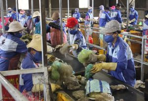 Planning suitable waste treatment zones