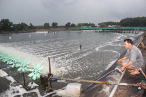 The value of land use for aquaculture has increased