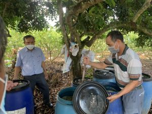 Reducing input costs for agricultural production