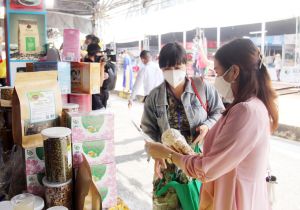 Enhancing the activities of trade promotion