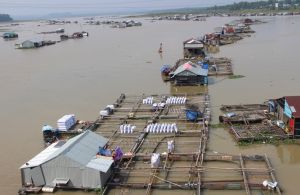 Relocating the aquaculture areas