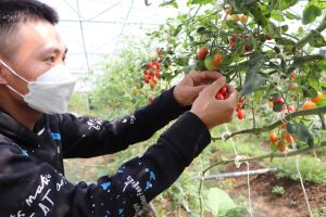 Developing organic agriculture in a new period of development