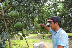 Challenges of sustainable agricultural development