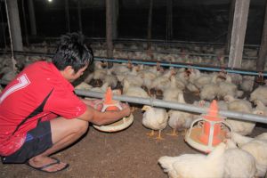 Eliminating the "intransparent" agricultural situation