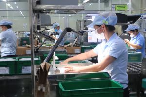 Dong Nai moves towards the green growth