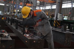 Dong Nai develops modern industry