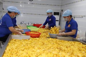 Building the ecosystem for large-scale production