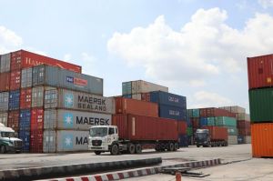 Selection of reputable export enterprises in 2021