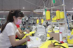 Domestic enterprises invest 1,067 projects in the Industrial Zones