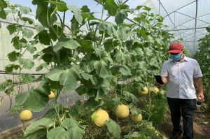 The new model rural district invests to develop the OCOP products