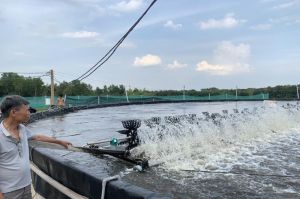 Awakening the province's brackish water fishery potential