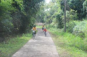 Dong Nai has nearly 200,000 hectares of forest