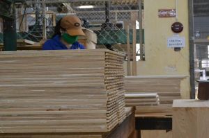 The production value of agriculture, forestry and fishery in the province reached nearly VND22,800 billion