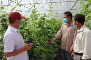 Agricultural investment of 4.0 should be started from the reality