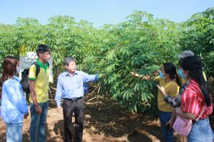 Building an agricultural development ecosystem of 4.0