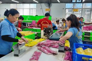 Supporting the businesses to export… online