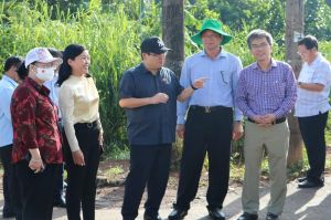 Xử lý kiên quyết các sai phạm trong quản lý đất đai, đô thị