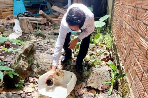 Số ca tử vong do sốt xuất huyết tăng cao