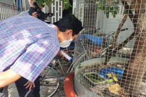 Tăng cường phòng, chống dịch sốt xuất huyết