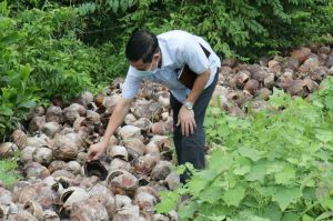 Dập dịch sốt xuất huyết tại “điểm nóng” xã Bắc Sơn