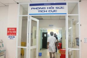 Những việc cần làm khi bị sốt xuất huyết