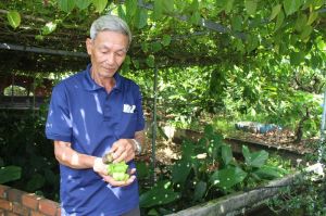 Cây ngoại quốc trên đất Đồng Nai