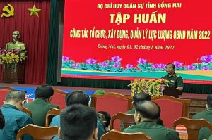 Tập huấn công tác tổ chức xây dựng, quản lý lực lượng quân báo nhân dân