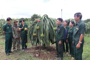 Cựu Thanh niên xung phong Đồng Nai nỗ lực vươn lên xây dựng cuộc sống mới