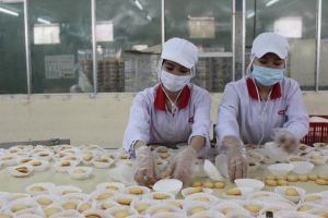 Industrial Production Index up more than 11.2%