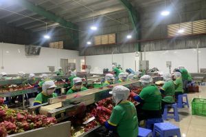 農産物を輸出する企業が困難を乗り越える