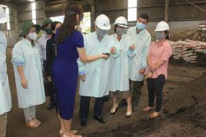 Kiến nghị tăng thời gian chu kỳ đấu thầu vận chuyển, xử lý chất thải