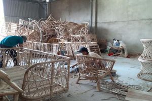 Dịch bệnh tác dộng bất lợi đến hộ kinh doanh cá thể