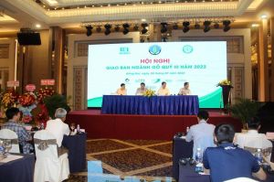 Remove difficulties for enterprises processing wood for export