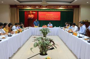 Tổng Công ty Dofico, Sonadezi khó khăn trong cổ phần, thoái vốn